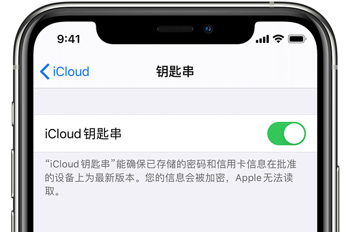 城区苹果手机维修分享在 iPhone 上开启 iCloud 钥匙串之后会储存哪些信息 