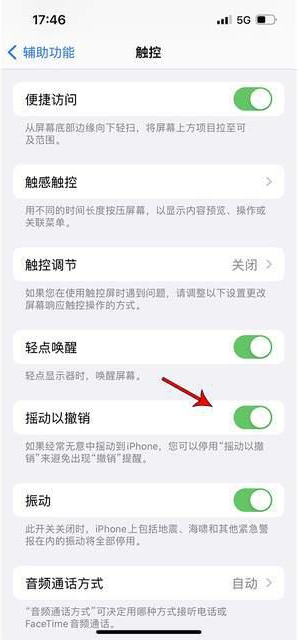 城区苹果手机维修分享iPhone手机如何设置摇一摇删除文字 