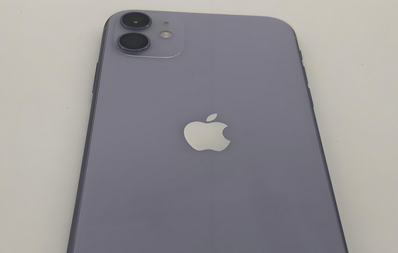 城区苹果11系统维修分享iPhone11手机系统崩溃无法开机如何解决 